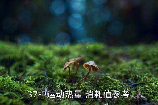足球卡路里消耗,足球運(yùn)動(dòng)員一場(chǎng)比賽消耗多少卡路里