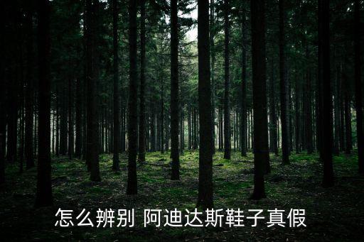 怎么辨別 阿迪達(dá)斯鞋子真假