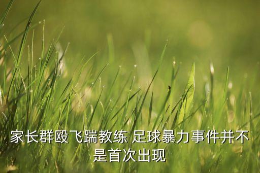 家長群毆飛踹教練 足球暴力事件并不是首次出現(xiàn)