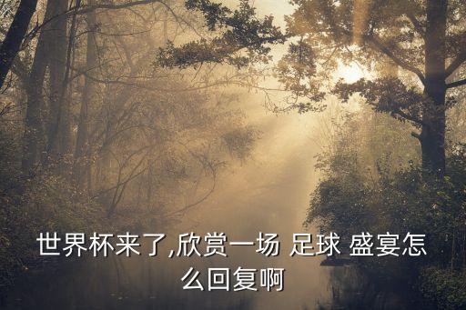 世界杯來(lái)了,欣賞一場(chǎng) 足球 盛宴怎么回復(fù)啊