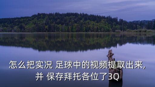怎么把實況 足球中的視頻提取出來,并 保存拜托各位了3Q