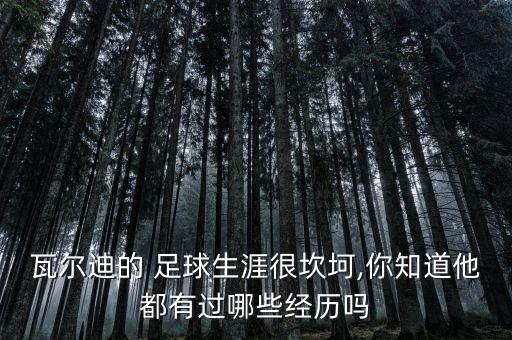 瓦爾迪的 足球生涯很坎坷,你知道他都有過(guò)哪些經(jīng)歷嗎