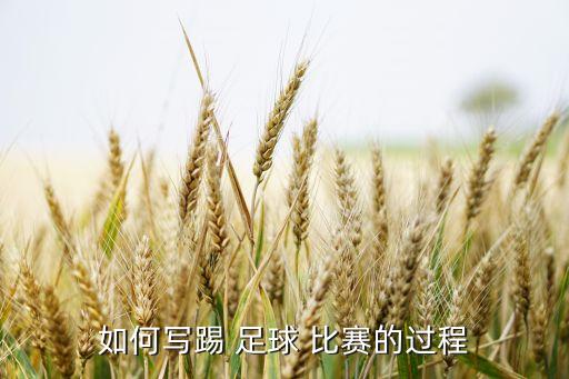 如何寫踢 足球 比賽的過程