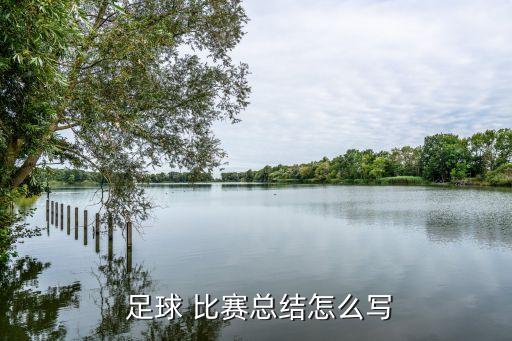  足球 比賽總結(jié)怎么寫