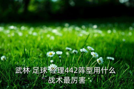 足球經(jīng)理2016無敵戰(zhàn)術(shù),fifa足球經(jīng)理14無敵戰(zhàn)術(shù)