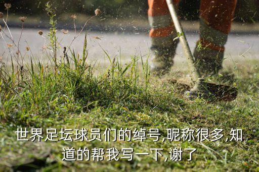世界足壇球員們的綽號(hào),昵稱很多,知道的幫我寫一下,謝了