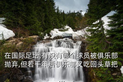 在國(guó)際足壇,有沒有哪個(gè)球員被俱樂部拋棄,但若干年后俱樂部又吃回頭草把...