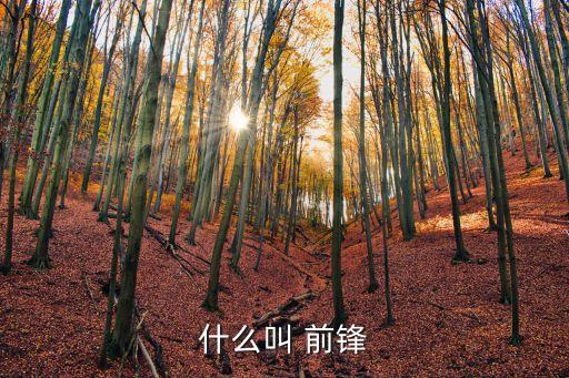足球前鋒的術語,足球解說術語大全詳細