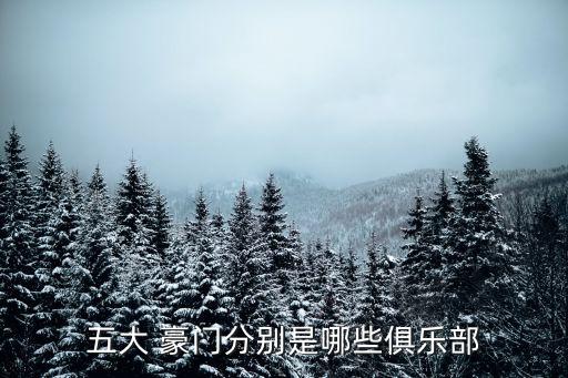 五大 豪門分別是哪些俱樂部