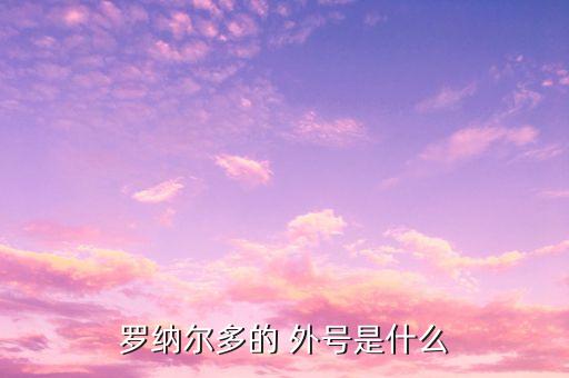 足球運動員外號