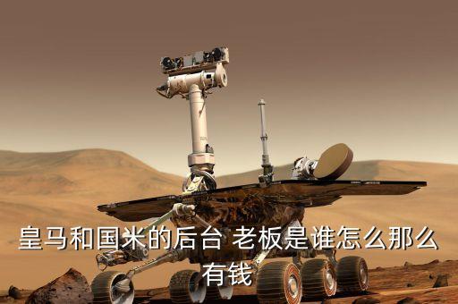 皇馬和國米的后臺(tái) 老板是誰怎么那么有錢
