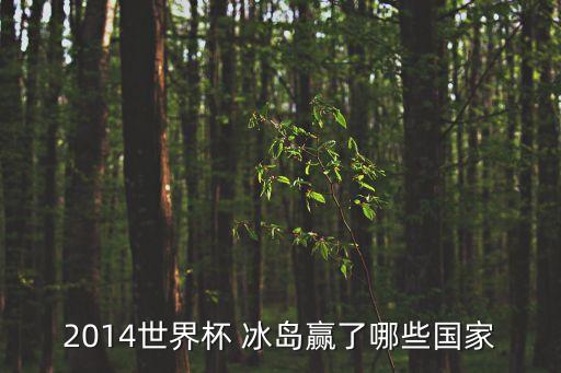 土耳其與冰島足球比賽,冰島vs哈薩克足球比賽