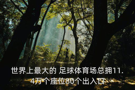世界上最大的 足球體育場總擁11.4萬個(gè)座位80個(gè)出入口