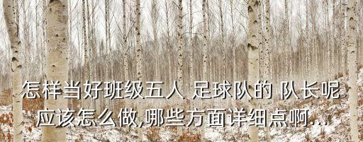 怎樣當(dāng)好班級五人 足球隊的 隊長呢應(yīng)該怎么做,哪些方面詳細(xì)點啊...