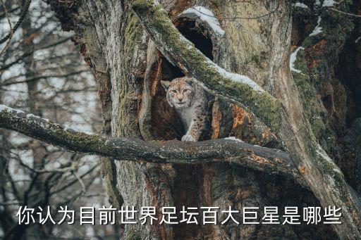 你認(rèn)為目前世界足壇百大巨星是哪些
