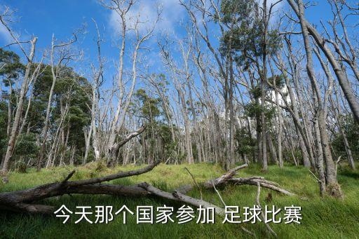 南美足球世界杯預選賽,2022南美世界杯預選賽積分榜