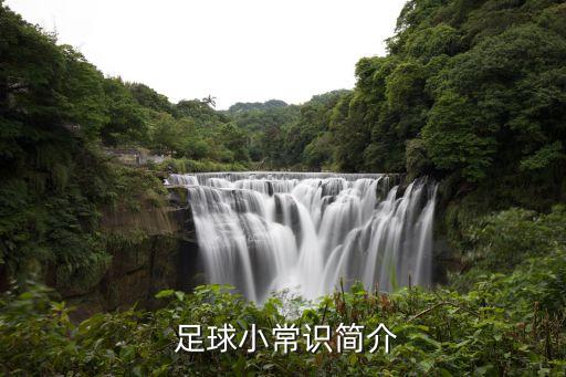  足球小常識(shí)簡介