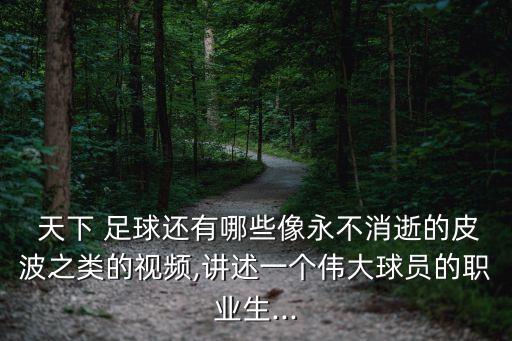  天下 足球還有哪些像永不消逝的皮波之類的視頻,講述一個(gè)偉大球員的職業(yè)生...