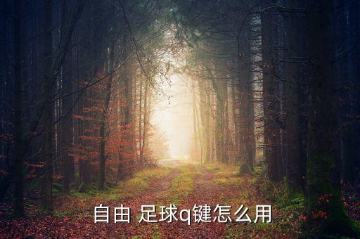 自由足球特殊角色強化加什么時候出