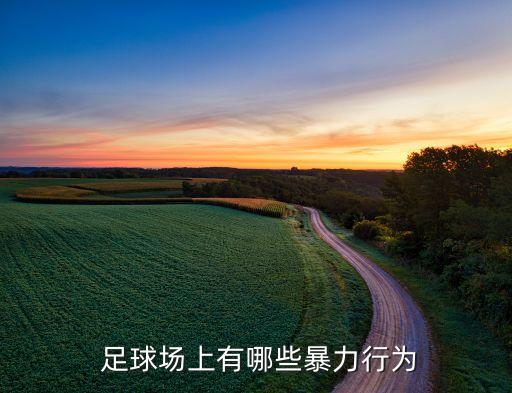  足球場上有哪些暴力行為