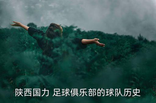 陜西國(guó)力 足球俱樂部的球隊(duì)歷史