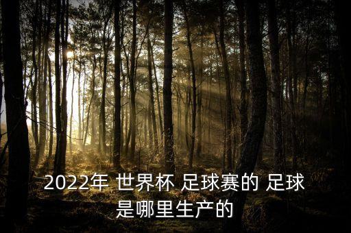 2022年 世界杯 足球賽的 足球是哪里生產的