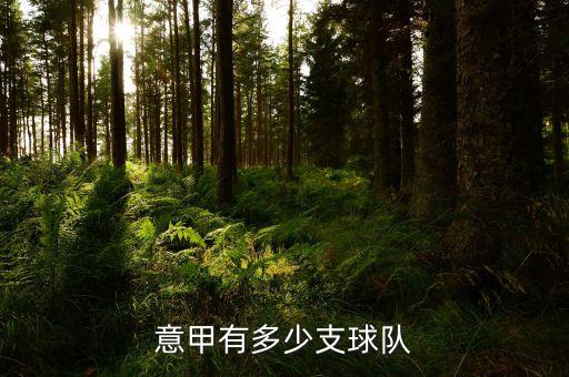 意大利 足球 乙級
