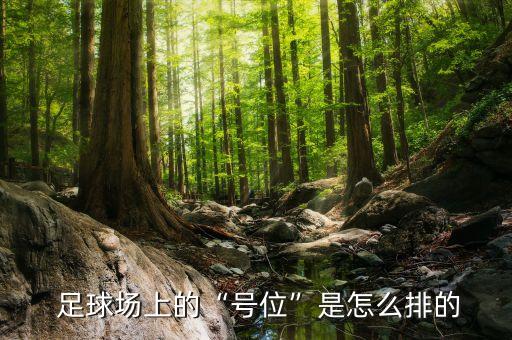  足球場上的“號位”是怎么排的