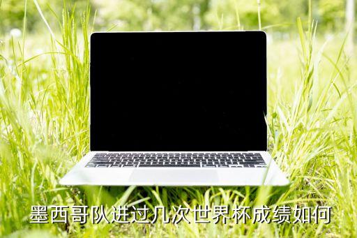  墨西哥隊(duì)進(jìn)過(guò)幾次世界杯成績(jī)?nèi)绾? class=