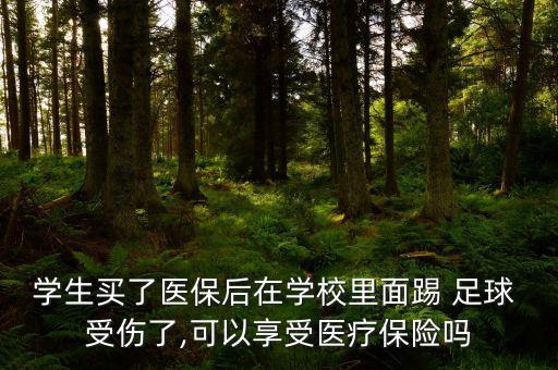 學(xué)生買(mǎi)了醫(yī)保后在學(xué)校里面踢 足球 受傷了,可以享受醫(yī)療保險(xiǎn)嗎