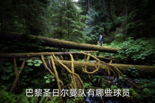 巴黎圣日爾曼隊(duì)有哪些球員
