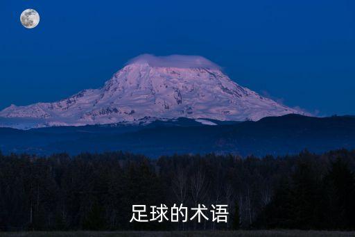  足球的術(shù)語(yǔ)