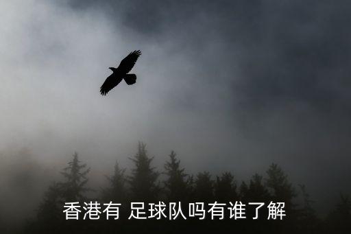 香港有 足球隊嗎有誰了解