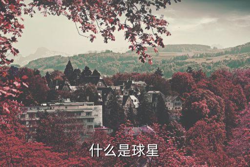 足球大師羅馬里奧,羅馬里奧是哪個國家的足球運動員
