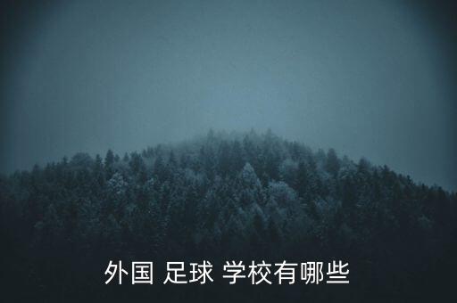 成都巴薩足球?qū)W校學費,巴薩成都足球?qū)W院怎么收費