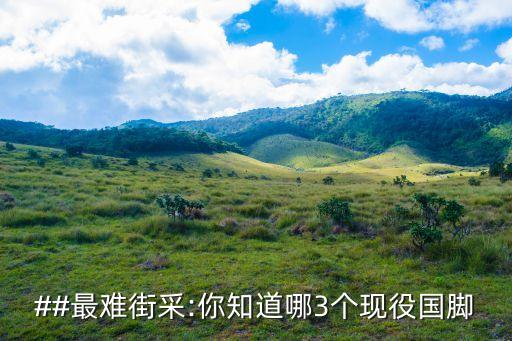 ##最難街采:你知道哪3個(gè)現(xiàn)役國(guó)腳