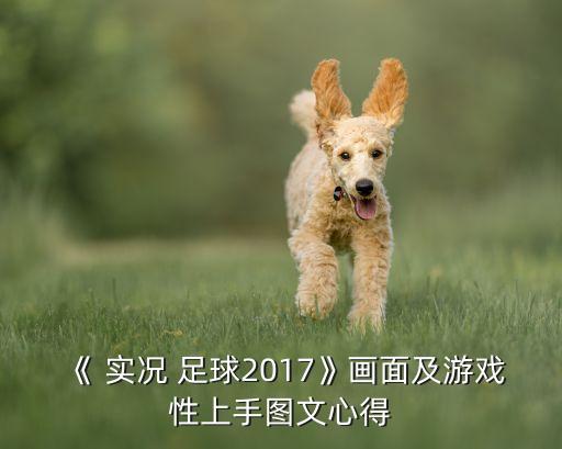 《 實況 足球2017》畫面及游戲性上手圖文心得