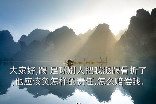 大家好,踢 足球別人把我腿踢骨折了,他應(yīng)該負(fù)怎樣的責(zé)任,怎么賠償我...