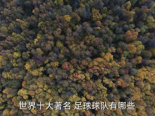世界十大著名 足球球隊(duì)有哪些