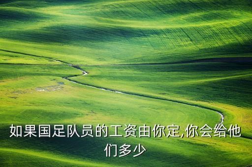 如果國(guó)足隊(duì)員的工資由你定,你會(huì)給他們多少