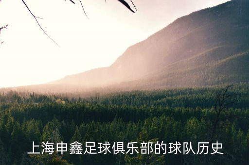  上海申鑫足球俱樂(lè)部的球隊(duì)歷史