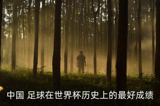 中國(guó) 足球在世界杯歷史上的最好成績(jī)