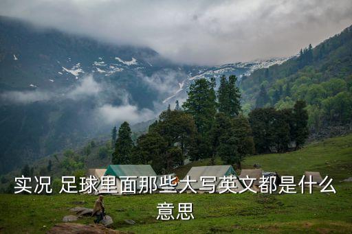 實(shí)況 足球里面那些大寫(xiě)英文都是什么意思