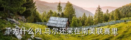 為什么內(nèi) 馬爾還呆在南美聯(lián)賽里