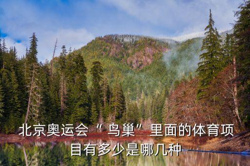  北京奧運會“ 鳥巢”里面的體育項目有多少是哪幾種