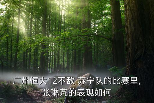 蘇寧對(duì)廣卅恒大足球