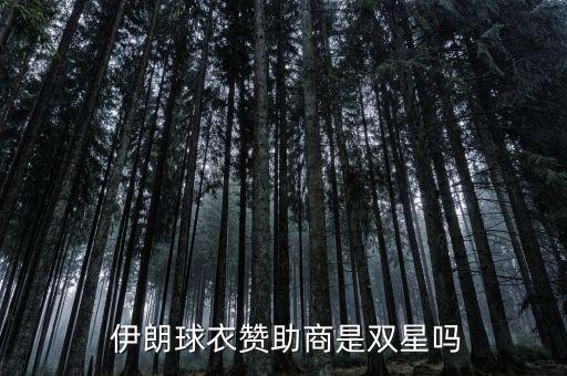  伊朗球衣贊助商是雙星嗎