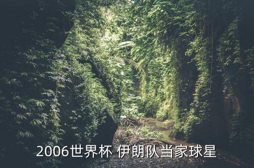 2006世界杯 伊朗隊當家球星