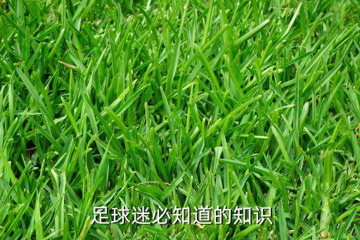 足球常識介紹,關于足球常識及小技巧