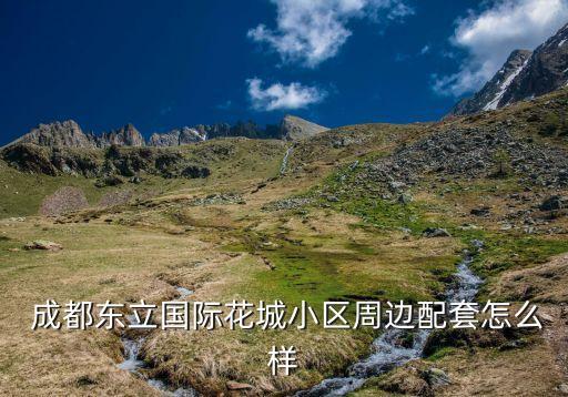 成都謝菲連足球俱樂部,成都興城足球俱樂部的微博